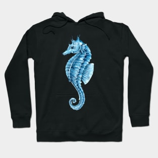 Cute Seahorse Hoodie